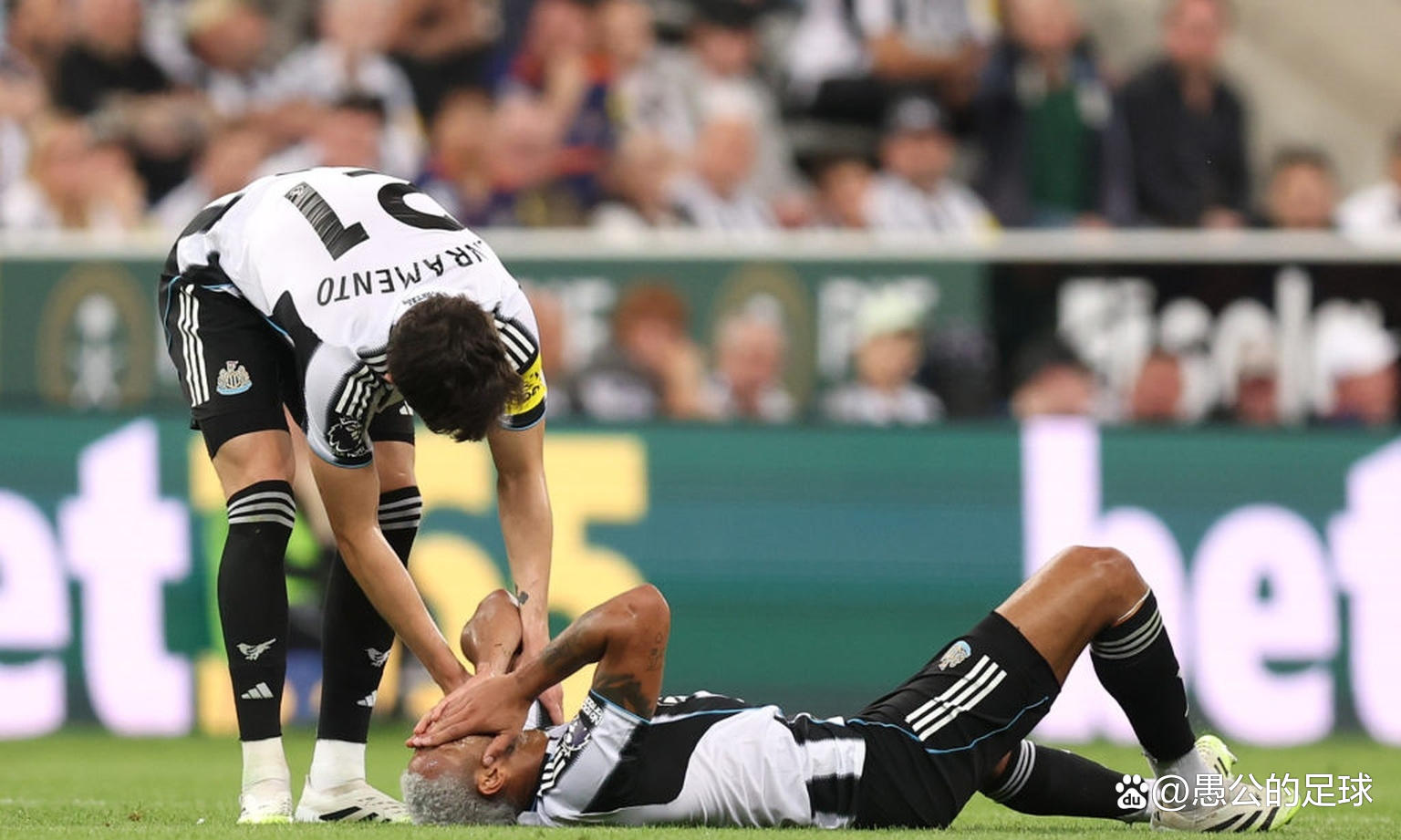 纽卡斯尔发布备战花絮，清晨止住颓势，德国杯任务艰巨，球队文化再被提及的简单介绍